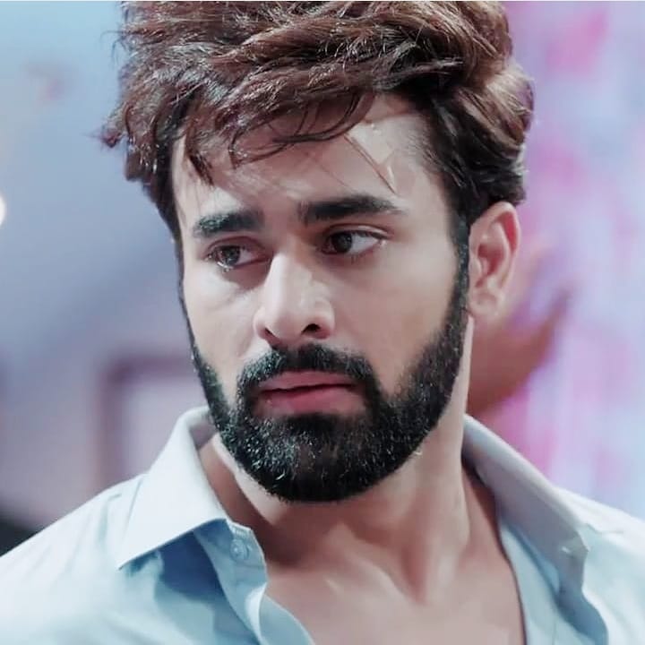 Pearl V Puri Wiki, Shows, Height, Age, Co-Stars, Marital Status